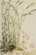unknow artist Grasses painting
